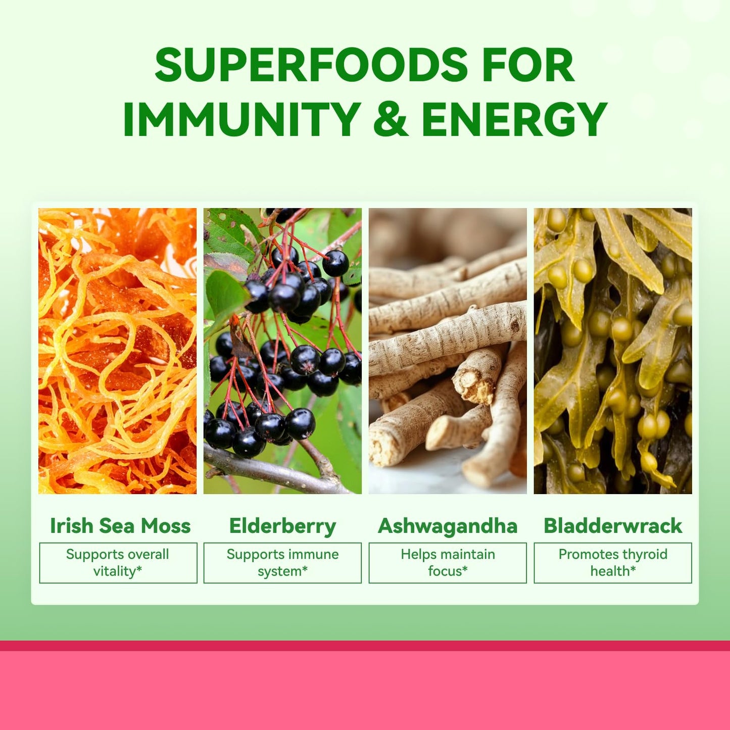 Inner Brightness Sea Moss 4000mg Gummies with Ashwagandha, Elderberry, Apple Cider Vinegar, Bladderwrack, Burdock Root – Immune Support – Mixed Berry Flavor – 60 Count - dailyvitalstore