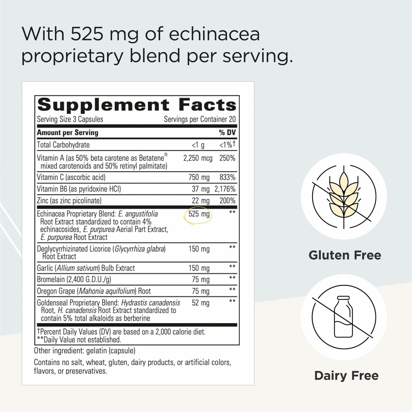 Integrative Therapeutics EHB - Immune Support Supplement with Vitamins A, C & B6* - Mineral Support with Zinc - Dairy-Free & Gluten-Free - 60 Capsules (20 Servings) - dailyvitalstore