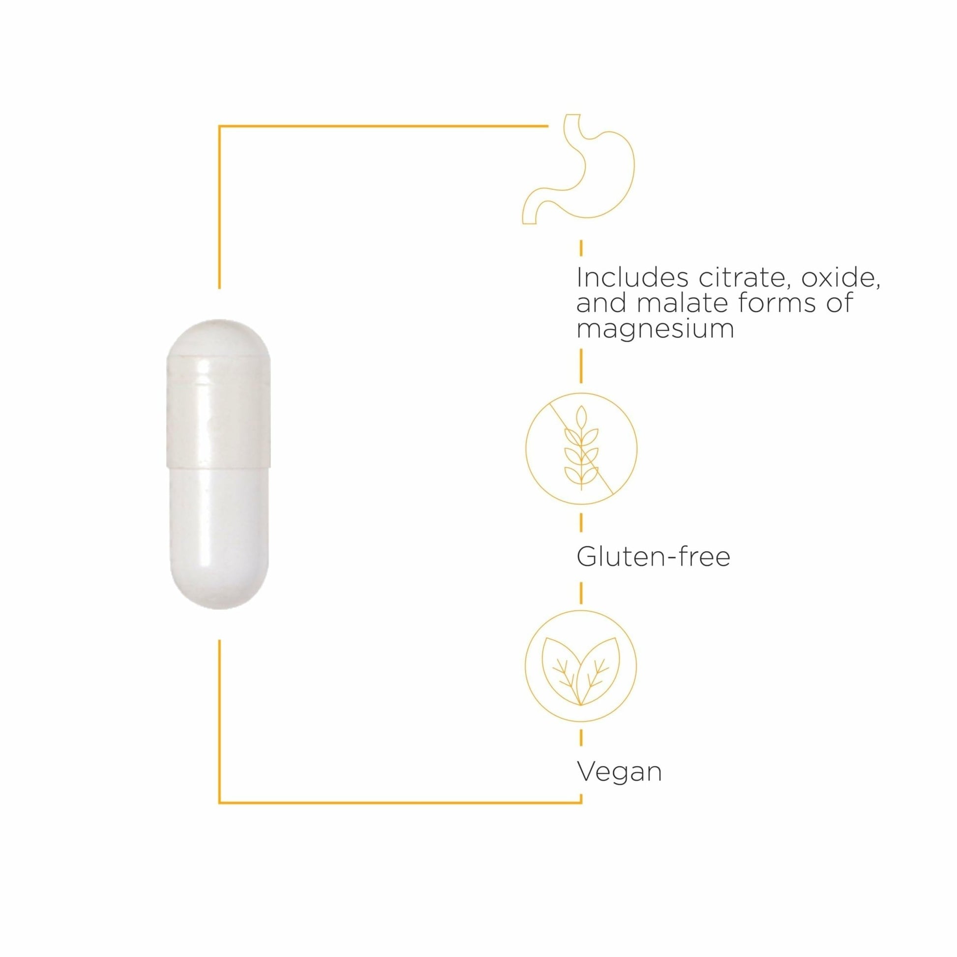 Integrative Therapeutics Tri-Magnesium - Supports Cellular Energy & Energy Metabolism* - Magnesium Supplement for Heart & Nerve Health Support* - Third-Party Tested - 90 Capsules (90 Servings) - dailyvitalstore