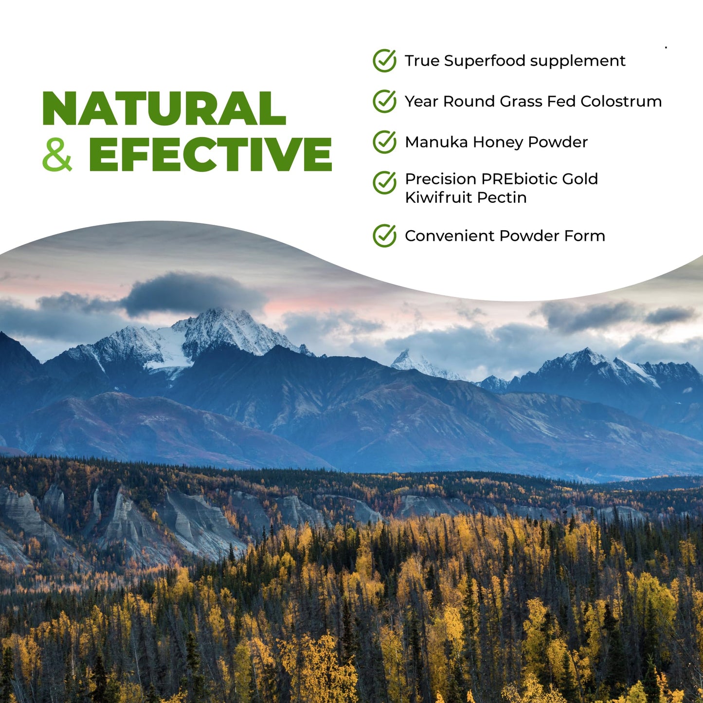 Intestinal Fortitude Boosted Colostrum Superfood Dietary Supplement: Grass-Fed New Zealand Bovine Colostrum, Gold Kiwifruit, Manuka Honey, for Digestion, Immune System, and Gut Health (60 Grams) - dailyvitalstore