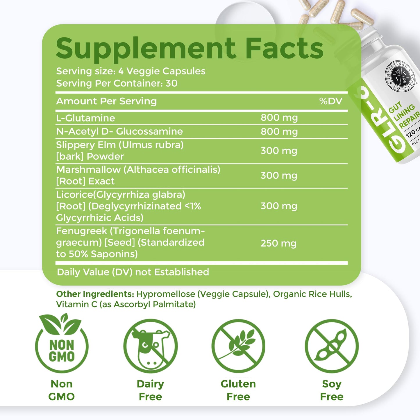 Intestinal Fortitude GLR-6 - Gut Lining Repair Supplement for Gut Health - Leaky Gut Repair with L-Glutamine, Slippery Elm, DGL Licorice Root, Marshmallow Root, Fenugreek - dailyvitalstore