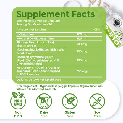 Intestinal Fortitude GLR-6 - Gut Lining Repair Supplement for Gut Health - Leaky Gut Repair with L-Glutamine, Slippery Elm, DGL Licorice Root, Marshmallow Root, Fenugreek - dailyvitalstore