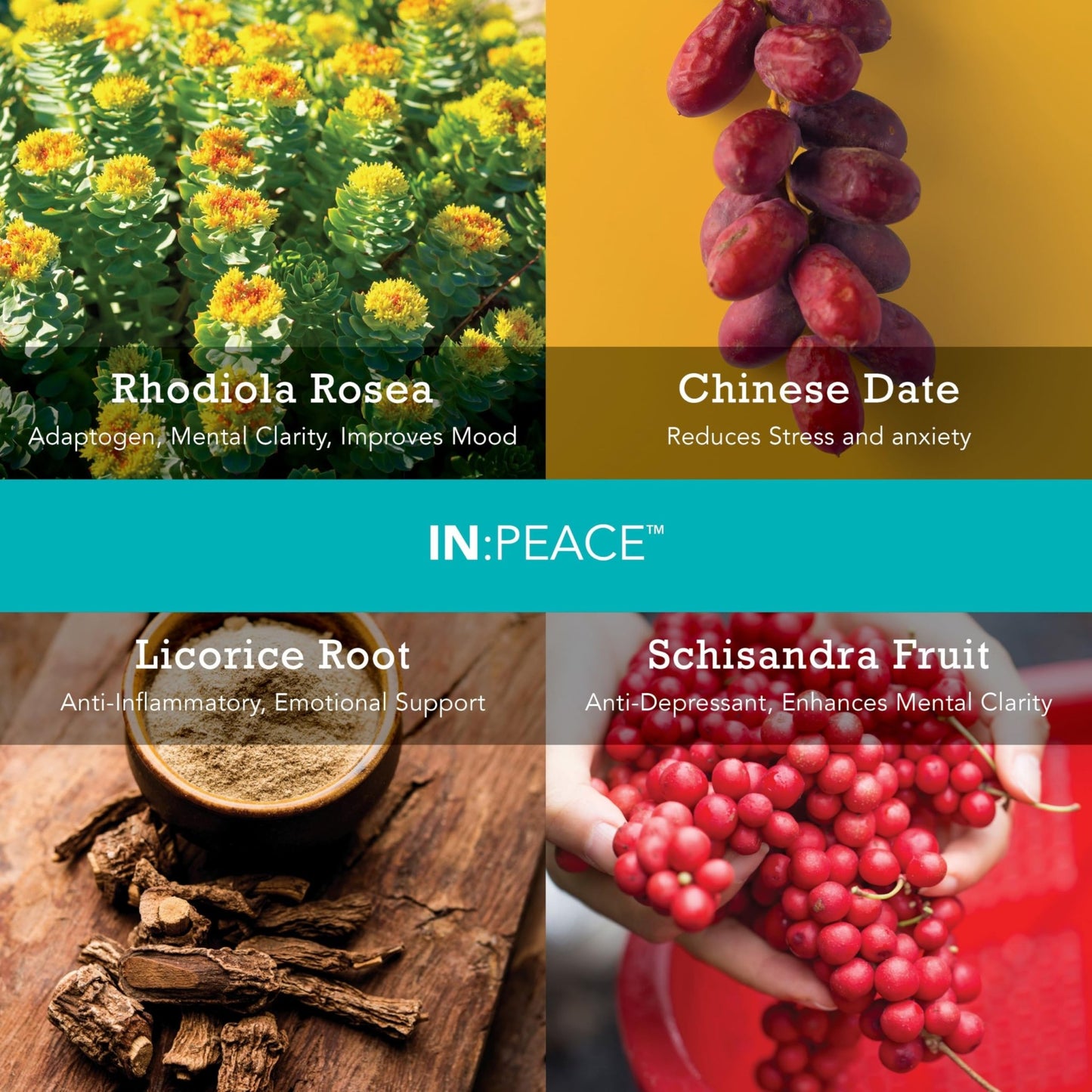 In:TotalWellness IN:Peace Herbal Calming Formula. 20 Serving Pouch, Wild Berry Flavor. 9 Herb Antioxidant + Adaptogen Blend. Clinically Proven Ingredients. Crafted by a Licensed Herbalist - dailyvitalstore
