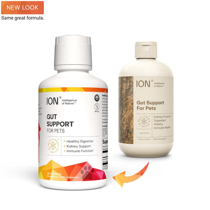 ION* Intelligence of Nature Gut Support For Pets - Liquid Probiotics Drops Alternative for Dogs & Cats, Digestive Health for Puppies, Skin & Hair Health - 16 fl oz (Pack of 1) - dailyvitalstore