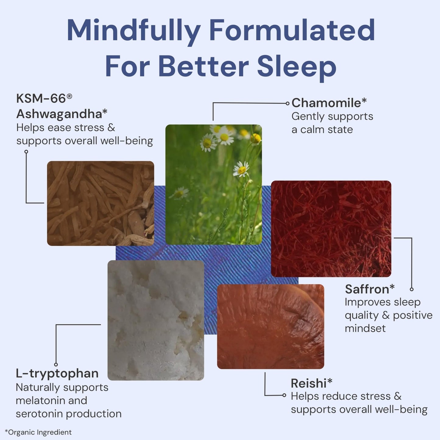 ION* Intelligence of Nature Restful Sleep - Ashwagandha Calm Sleep Aid Powder Drink Mix for Restful Night with Magnesium and L Theanine for Women and Men - 5 Packets - dailyvitalstore