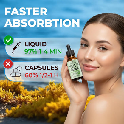 Irish Sea Moss Liquid Drops - 3000mg Formula - with Bladderwrack, Burdock Root & Black Cumin Seed - Liquid Supplement - Apple Flavor - 2 Fl Oz (60ml) - dailyvitalstore