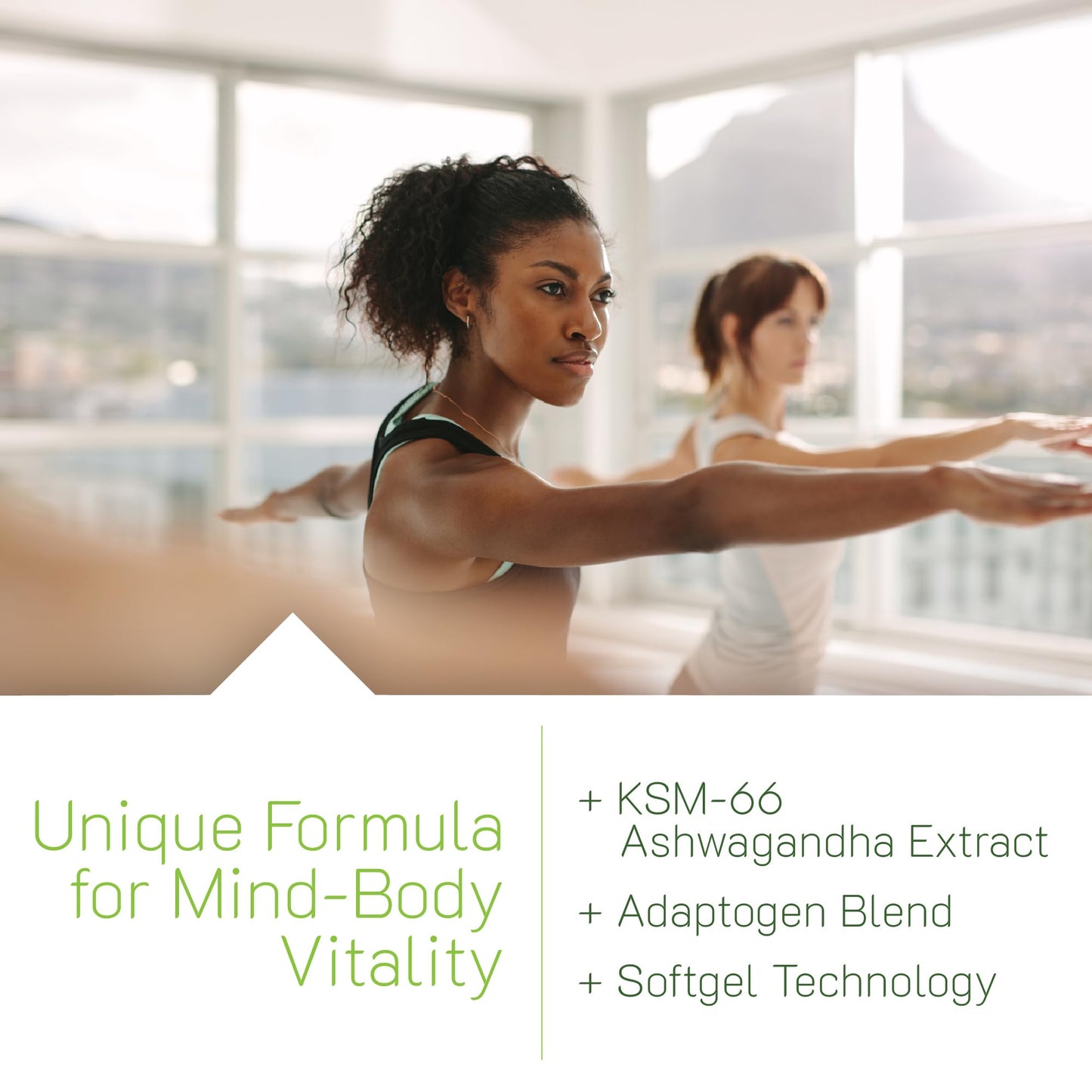 Irwin Naturals Extra Strength Ashwagandha - 60 Liquid Softgels - Helps Boost Physical & Mental Performance - with Turmeric & Milk Thistle - dailyvitalstore
