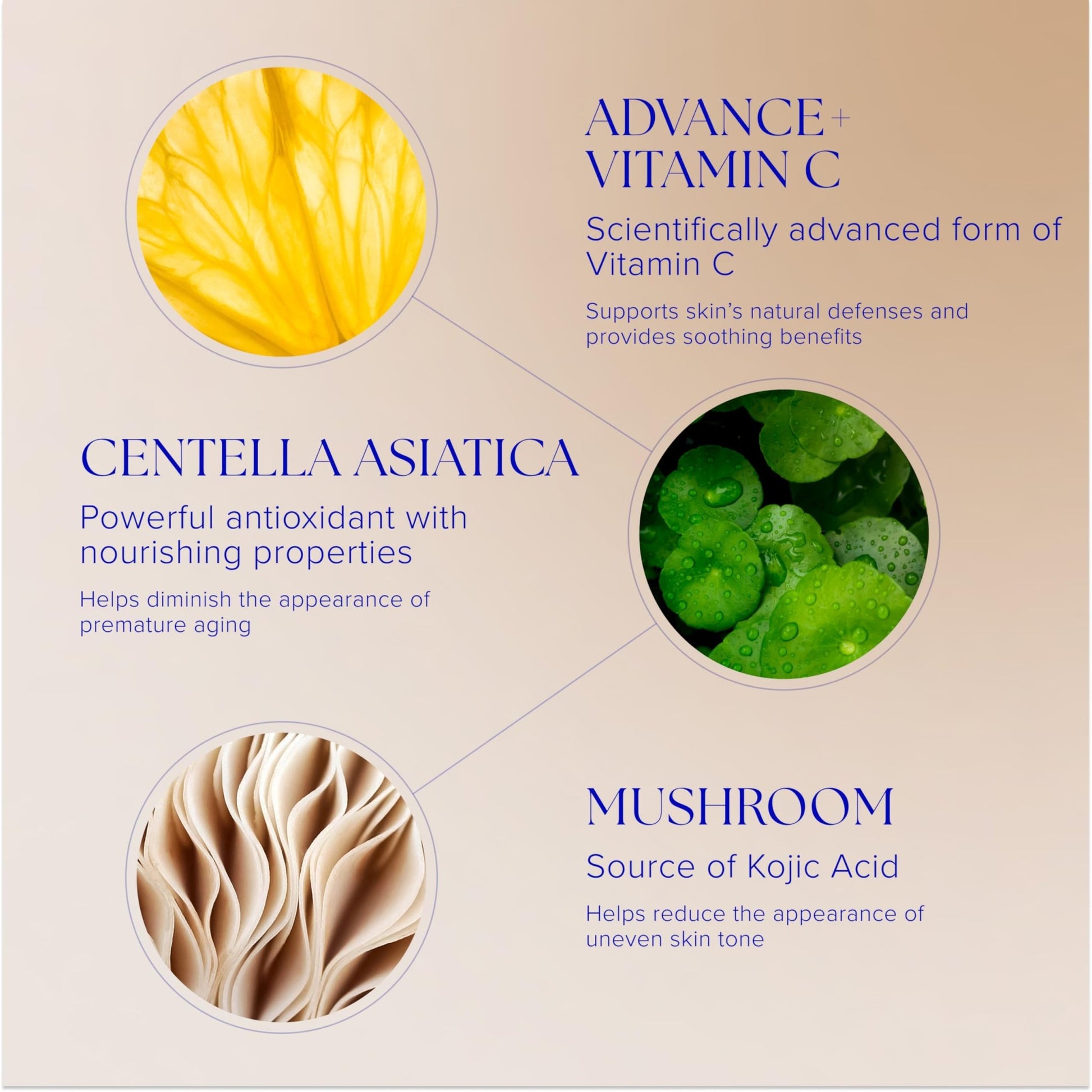 iS CLINICAL Super Serum Advance+, Anti-Aging Vitamin C Face Serum, reduces scaring and fine stretch marks, 0.5 Fl Oz - dailyvitalstore