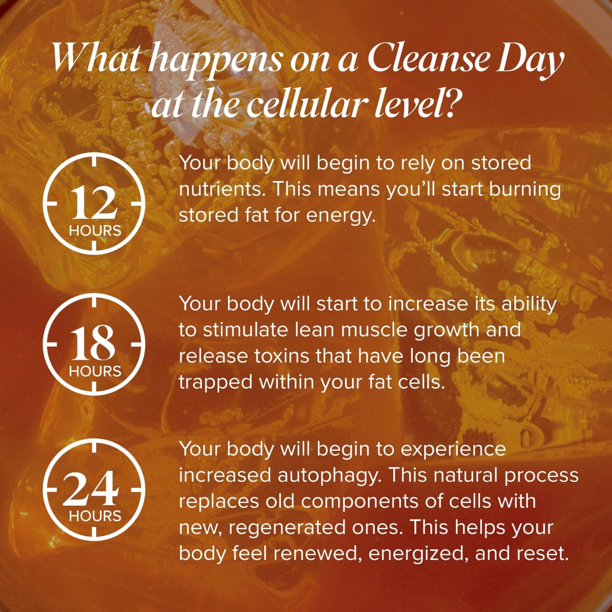 Isagenix Cleanse for Life - Powder Supplement for Cleanse Drink with No Laxatives or Diuretics - Support Metabolism with Vitamin B12 & Niacin - dailyvitalstore