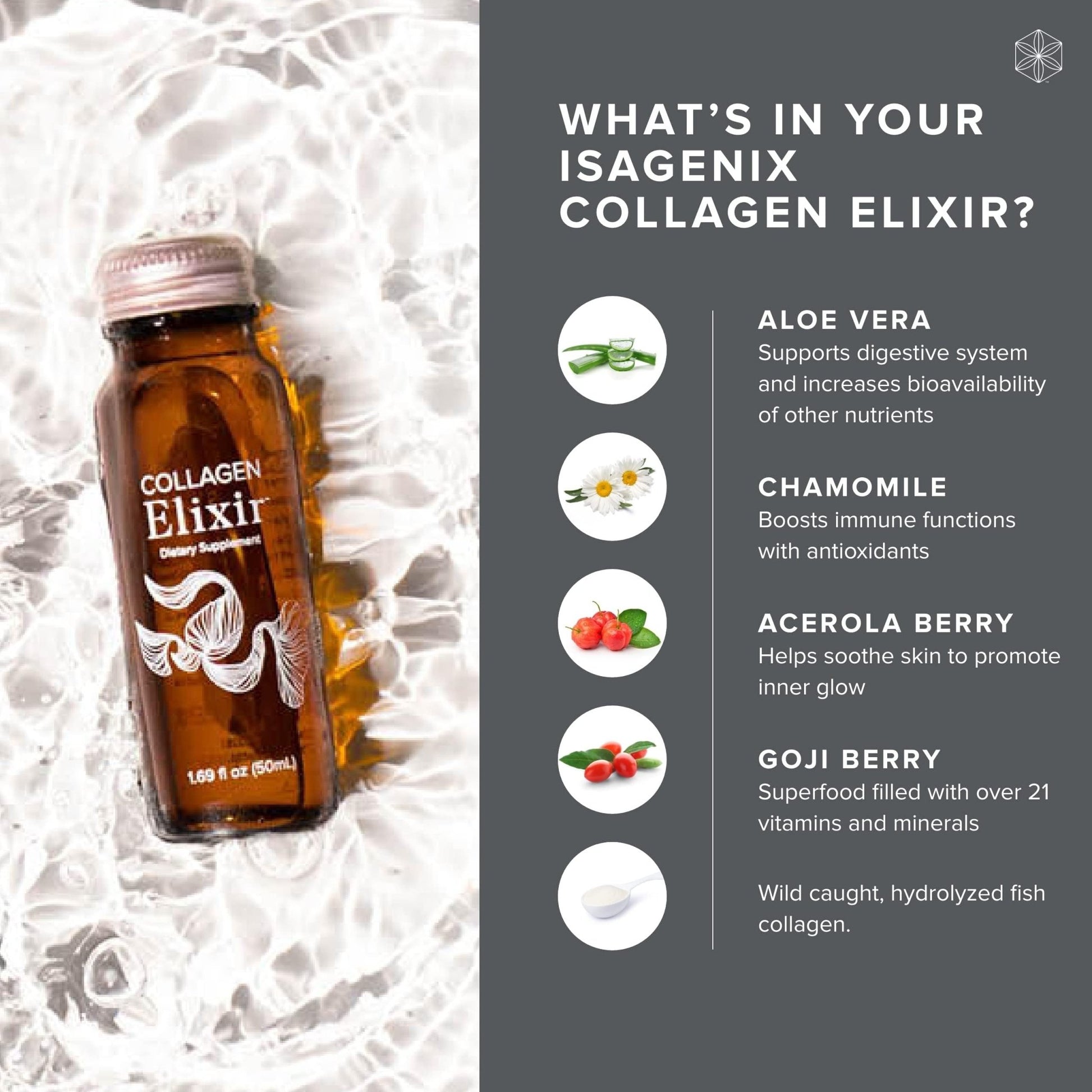 Isagenix Collagen Elixir - Drink with Marine Collagen Peptides - Support a Youthful Appearance with Vitamin C, Zinc & Biotin - 10 Bottles (1 Box) - dailyvitalstore