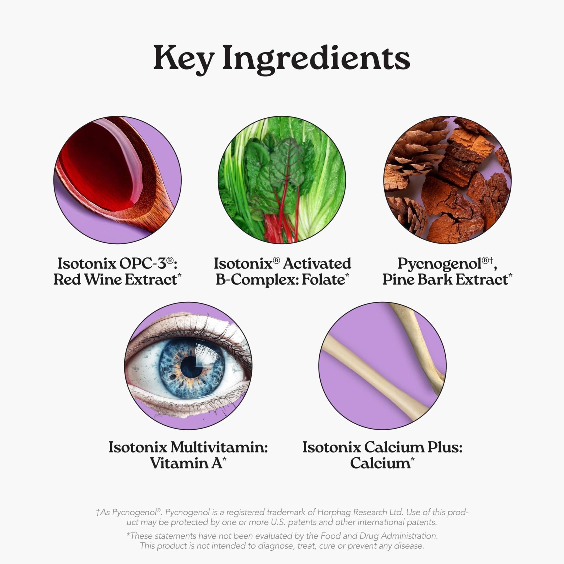 Isotonix® Daily Essentials Multivitamin Powder Packets – 4-in-1 Formula with Multivitamin, Activated B-Complex, Calcium Plus & OPC-3 with Pycnogenol - dailyvitalstore