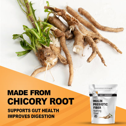 It's Just! - Inulin Prebiotic Fiber, Water Soluble, Chicory Root Powder, Promotes Gut Health, Made in USA, Product of Belgium, Vegan/Keto Friendly - dailyvitalstore