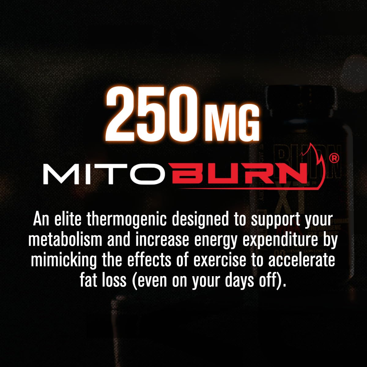 Jacked Factory Burn-XT Max - High-Performance Thermogenic Fat Burner & Appetite Suppressant for Weight Loss w/PurCaf Organic Caffeine, MitoBurn, Green Tea - dailyvitalstore