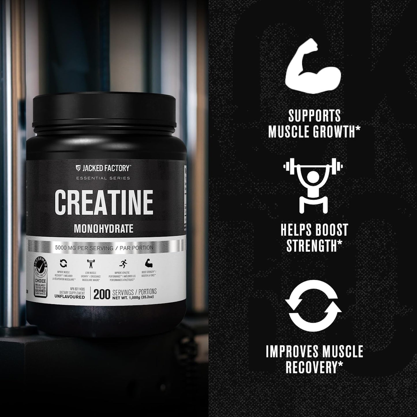 Jacked Factory Creatine Monohydrate Powder 1000g - 5g Daily Creatine Supplement for Men and Women, Vegan-Friendly, - dailyvitalstore
