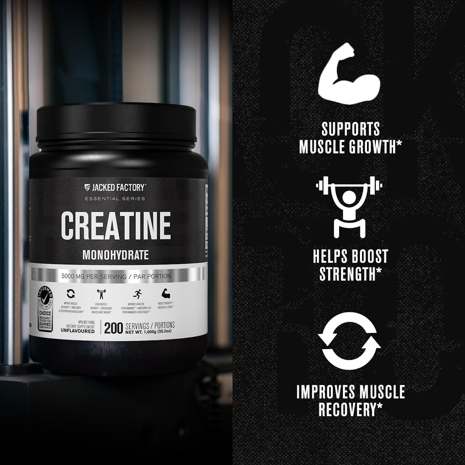 Jacked Factory Creatine Monohydrate Powder 1000g - 5g Daily Creatine Supplement for Men and Women, Vegan-Friendly, - dailyvitalstore