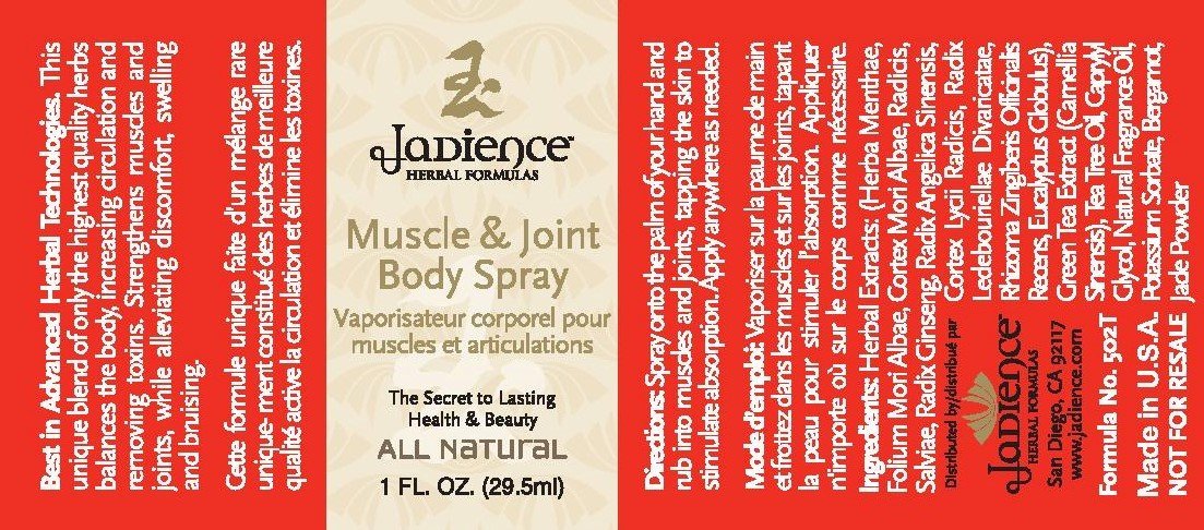 Jadience Severe Pain Relief Kit: Penetrates Deep for Muscle Pull Recovery, Joint Support & Sciatic Nerve| Dit Da Jow Topical Analgesic for Back, Neck, Shoulders, Hips, Knees, Ankles, Elbows & Wrists - dailyvitalstore