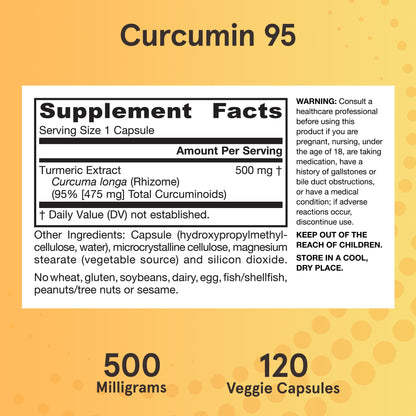 Jarrow Formulas Curcumin 95 Supplement - Turmeric Extract Supplement, 500 mg for Antioxidant & Joint Support, 120 Capsules - dailyvitalstore