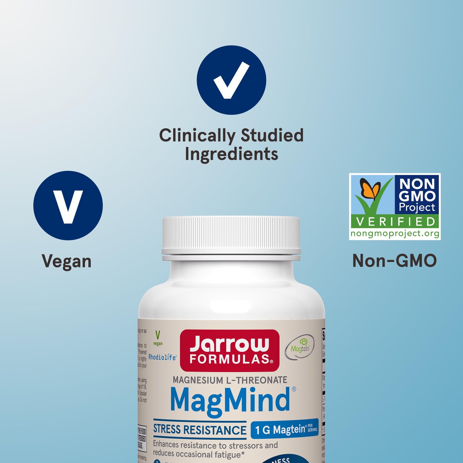 Jarrow Formulas Magnesium L-Threonate, MagMind Stress Resistance with L-Theanine and Rhodiolife, High Absorption Magnesium, Stress Relief and Mood Support, 60 Veggie Capsules, Up to a 30 Day Supply - dailyvitalstore
