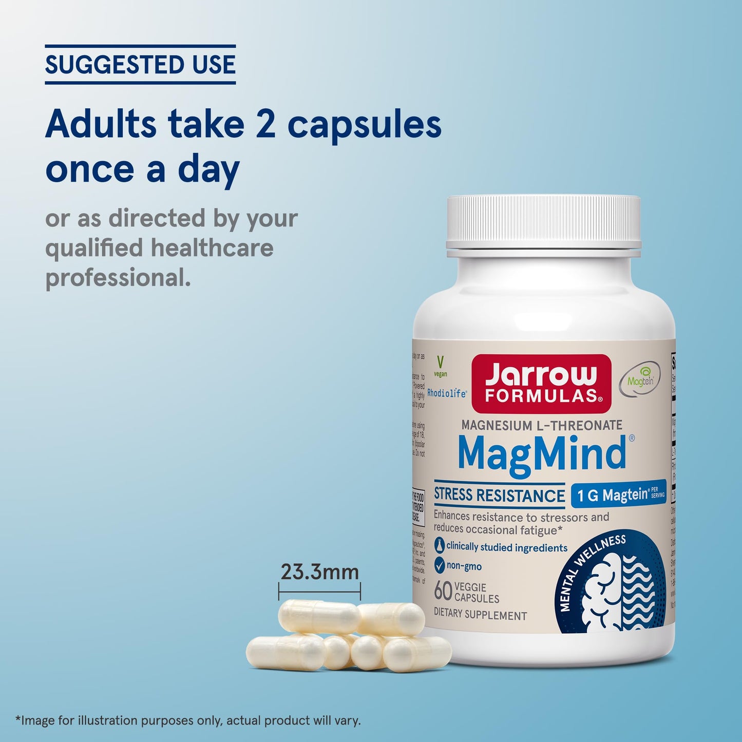 Jarrow Formulas Magnesium L-Threonate, MagMind Stress Resistance with L-Theanine and Rhodiolife, High Absorption Magnesium, Stress Relief and Mood Support, 60 Veggie Capsules, Up to a 30 Day Supply - dailyvitalstore