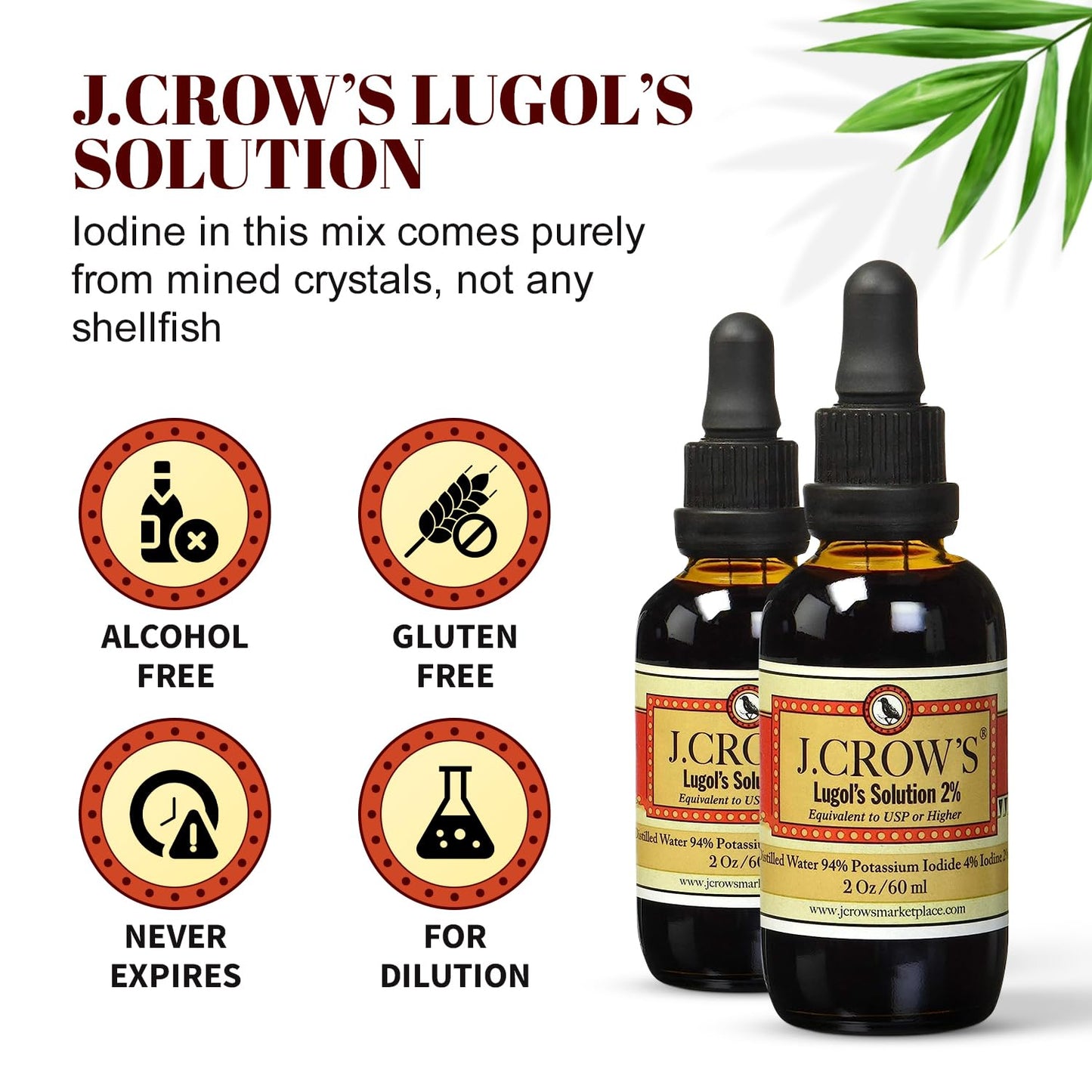 J.CROW'S® Lugol's Solution of Iodine 2% 2 oz (1 Bottle) – Premium Iodine & Potassium Iodide Liquid, Gluten & Alcohol-Free Natural Brine Extract, No Expiration - 1200 Drops - dailyvitalstore