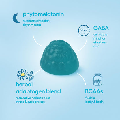 Jet Lag Remedy for Travel Gummies • No Jet Lag Pills Alternative • Travel Essentials • Support Adjustment to Time Zones and Circadian Rhythm • Delicious Tropical Berry Flavor • 20 Gummies 3-5 Trips - dailyvitalstore