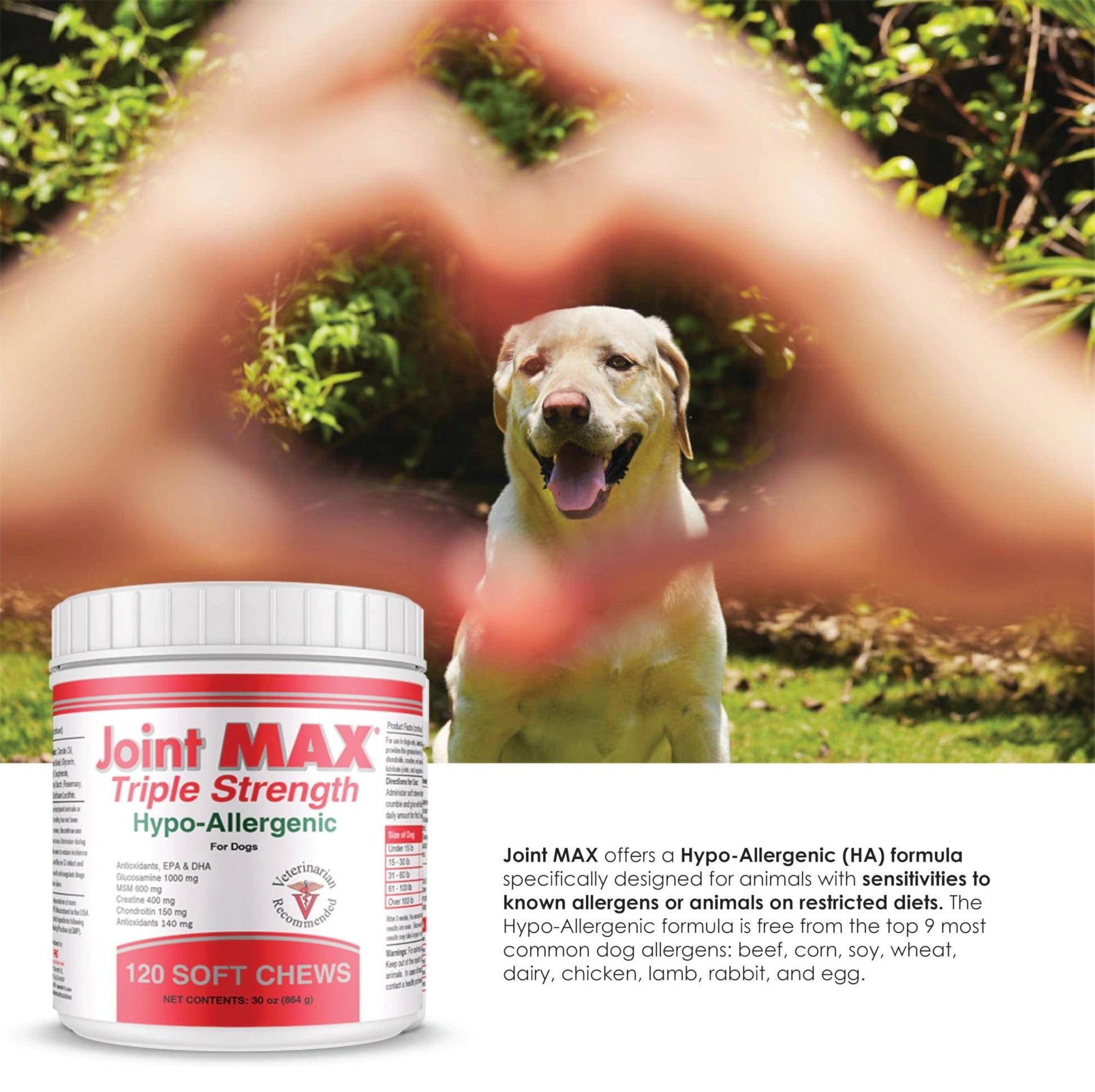 Joint MAX Triple Strength Hypo-Allergenic Soft Chews for Dogs - Hip and Joint Support Supplement with Glucosamine, Chondroitin, & MSM - Made in The USA - 120 Soft Chews - dailyvitalstore
