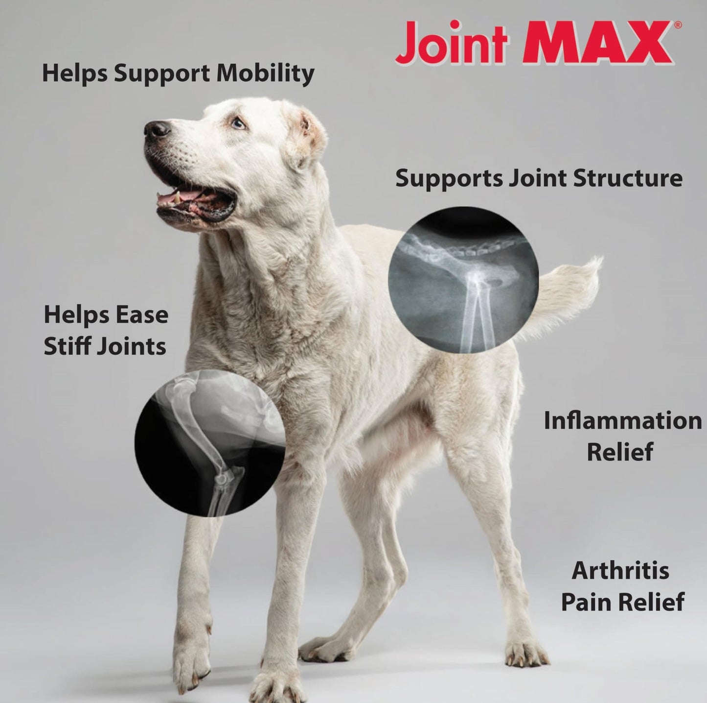 Joint MAX Triple Strength Hypo-Allergenic Soft Chews for Dogs - Hip and Joint Support Supplement with Glucosamine, Chondroitin, & MSM - Made in The USA - 120 Soft Chews - dailyvitalstore