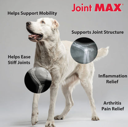 Joint MAX Triple Strength Hypo-Allergenic Soft Chews for Dogs - Hip and Joint Support Supplement with Glucosamine, Chondroitin, & MSM - Made in The USA - 120 Soft Chews - dailyvitalstore