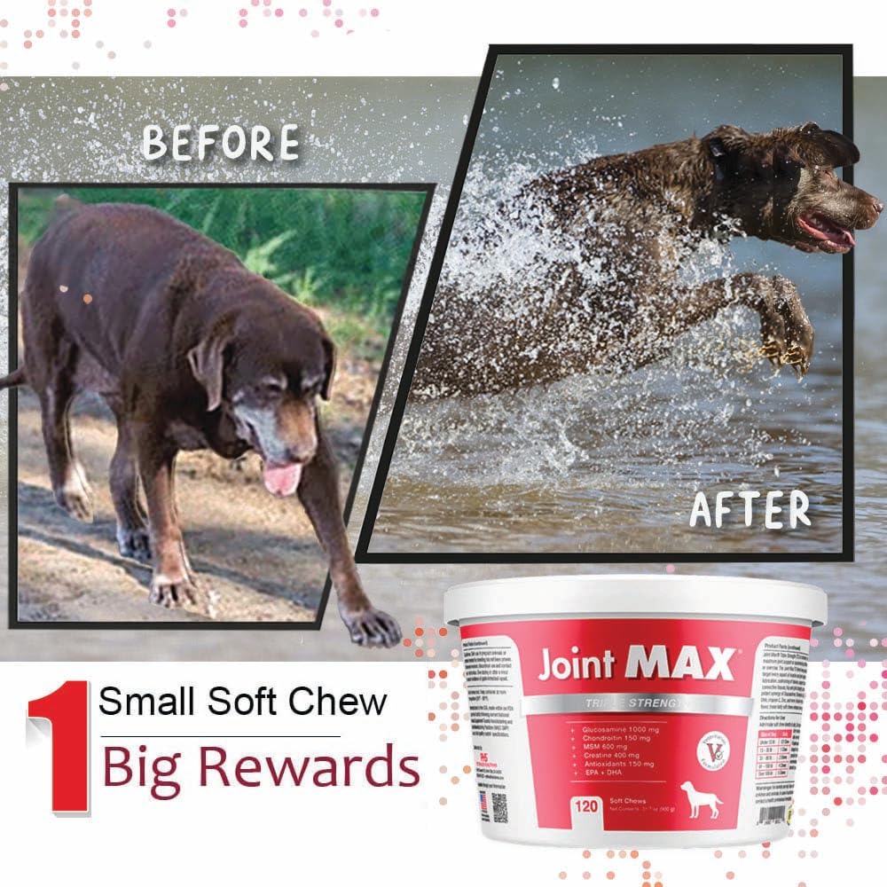 Joint Max TS Joint Supplement Vet Formulated Pain & Inflammation Relief Treats Hip Dysplasia & Arthritis, Glucosamine, Chondroitin, Turmeric, MSM, HA, Creatine, Omega 3 EPA + DHA.120 Soft Chews - dailyvitalstore