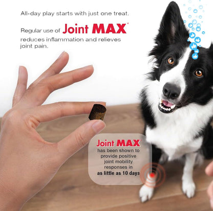 Joint Max TS Joint Supplement Vet Formulated Pain & Inflammation Relief Treats Hip Dysplasia & Arthritis, Glucosamine, Chondroitin, Turmeric, MSM, HA, Creatine, Omega 3 EPA + DHA.120 Soft Chews - dailyvitalstore