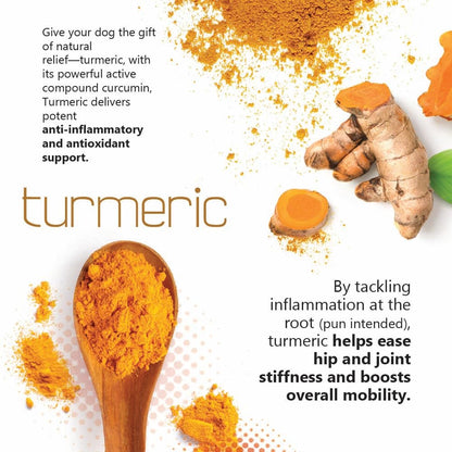 Joint Max TS Joint Supplement Vet Formulated Pain & Inflammation Relief Treats Hip Dysplasia & Arthritis, Glucosamine, Chondroitin, Turmeric, MSM, HA, Creatine, Omega 3 EPA + DHA.120 Soft Chews - dailyvitalstore