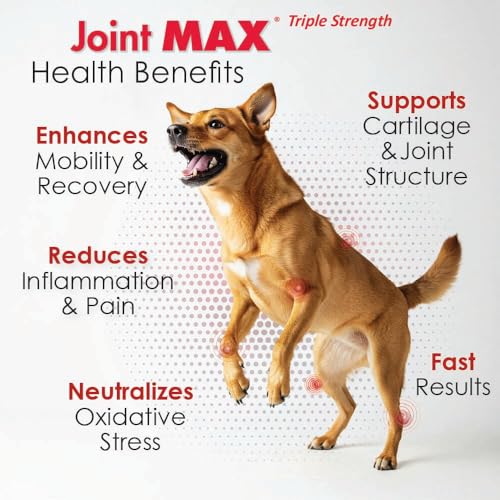 Joint Max TS Joint Supplement Vet Formulated Pain & Inflammation Relief Treats Hip Dysplasia & Arthritis, Glucosamine, Chondroitin, Turmeric, MSM, HA, Creatine, Omega 3 EPA + DHA.120 Soft Chews - dailyvitalstore