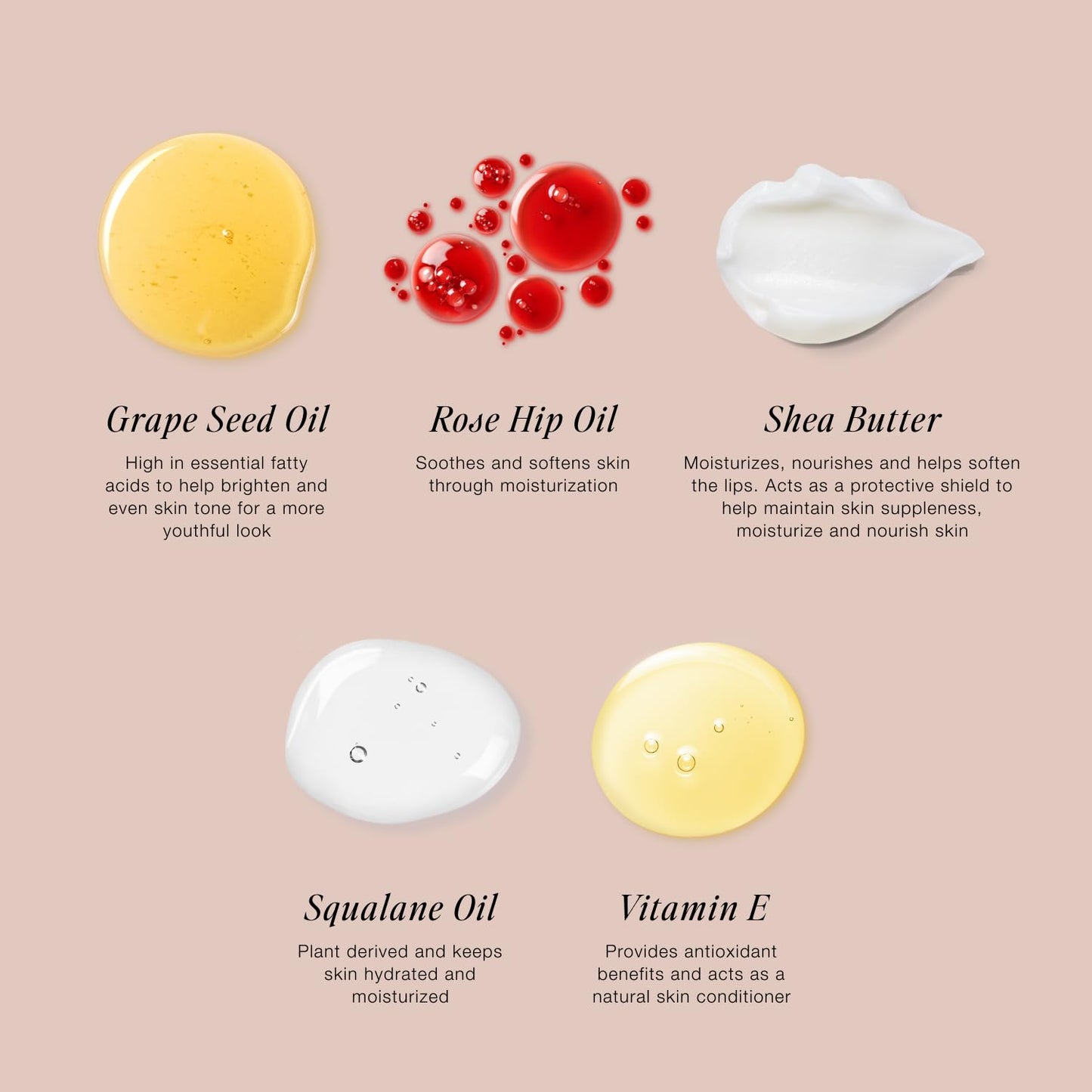 Jouer Blush & Bloom Cheek + Lip Duo - Hydrating Cream Blush Stick for Lip and Cheek Tint - Moisturizing Rose Hip and Squalane Oil Formula, Celebrate - dailyvitalstore