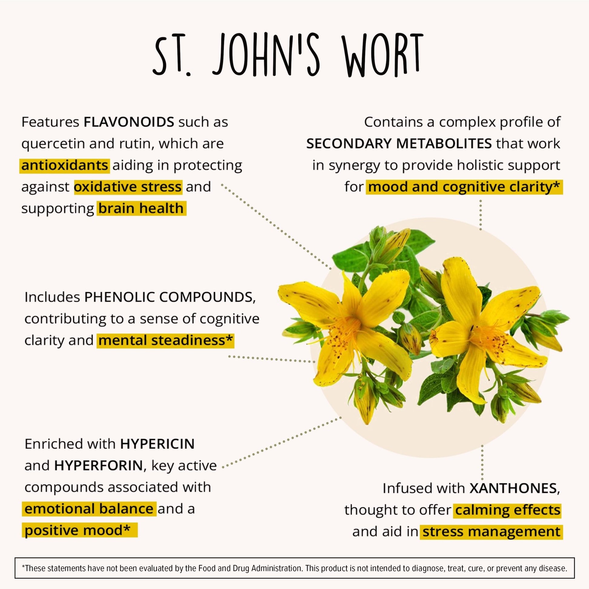 Joy-Filled Mood Support Supplement - 7 Herb Complex + St. Johns Wort | Stress Relief – Helps Calm The Mind & Body | 100% Plant-Based Happy Pills - dailyvitalstore