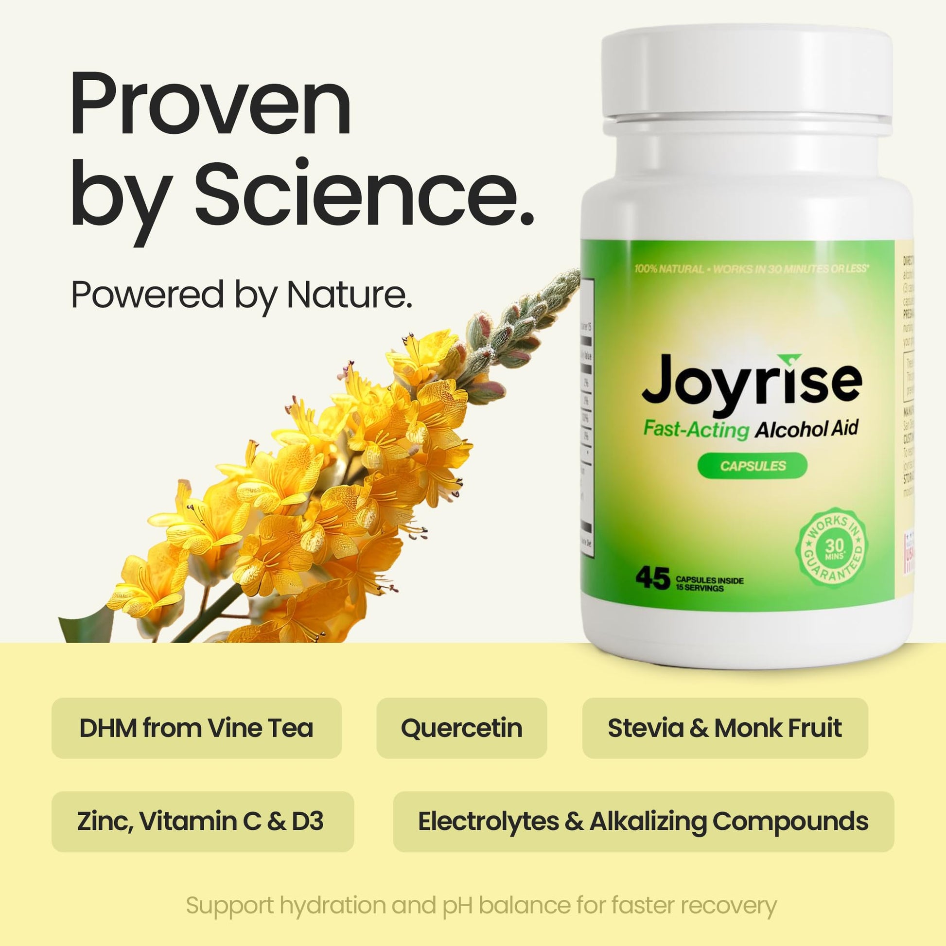 Joyrise® After Drinking Aid – Fast Acting Capsules with DHM – Alcohol Metabolism Support, Liver Health, Rapid Bioavailability & Body Replenishment – 45 Capsules (15 Servings) - dailyvitalstore