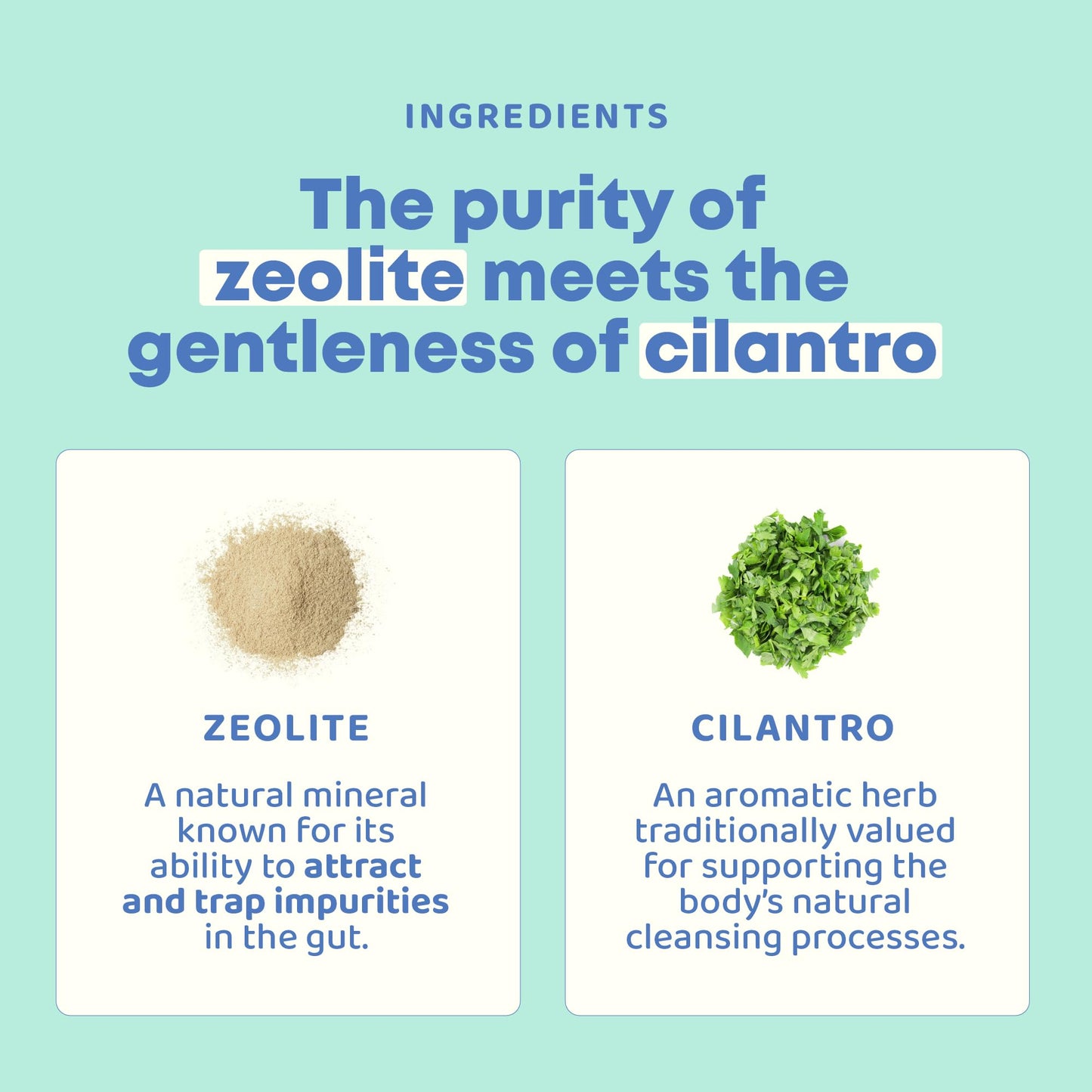 JoySpring DetoxZee Cilantro & Zeolite Drops for Kids | Liquid Zeolite Clinoptilolite with Cilantro Extract | Gentle Daily Wellness Support - dailyvitalstore