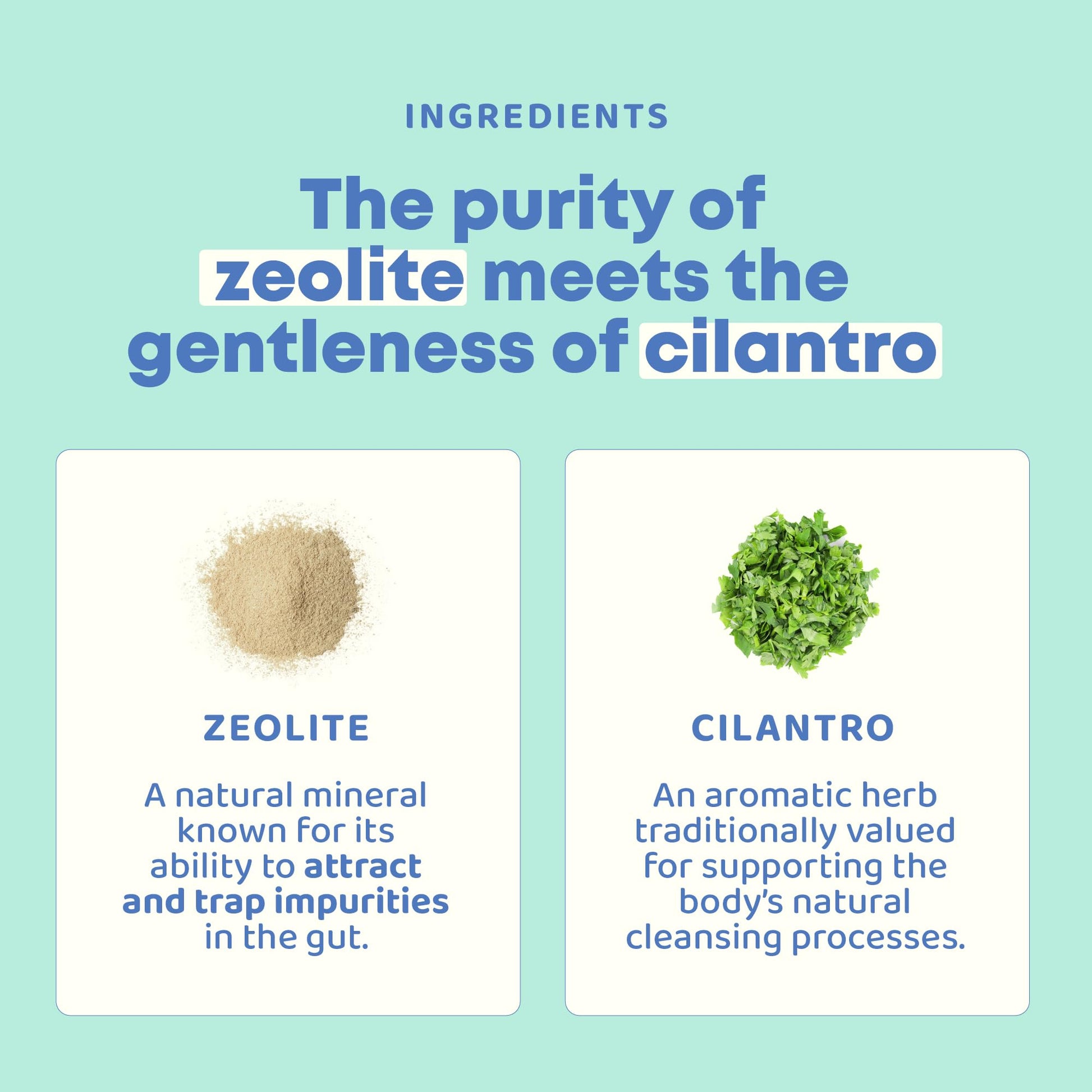 JoySpring DetoxZee Cilantro & Zeolite Drops for Kids | Liquid Zeolite Clinoptilolite with Cilantro Extract | Gentle Daily Wellness Support - dailyvitalstore