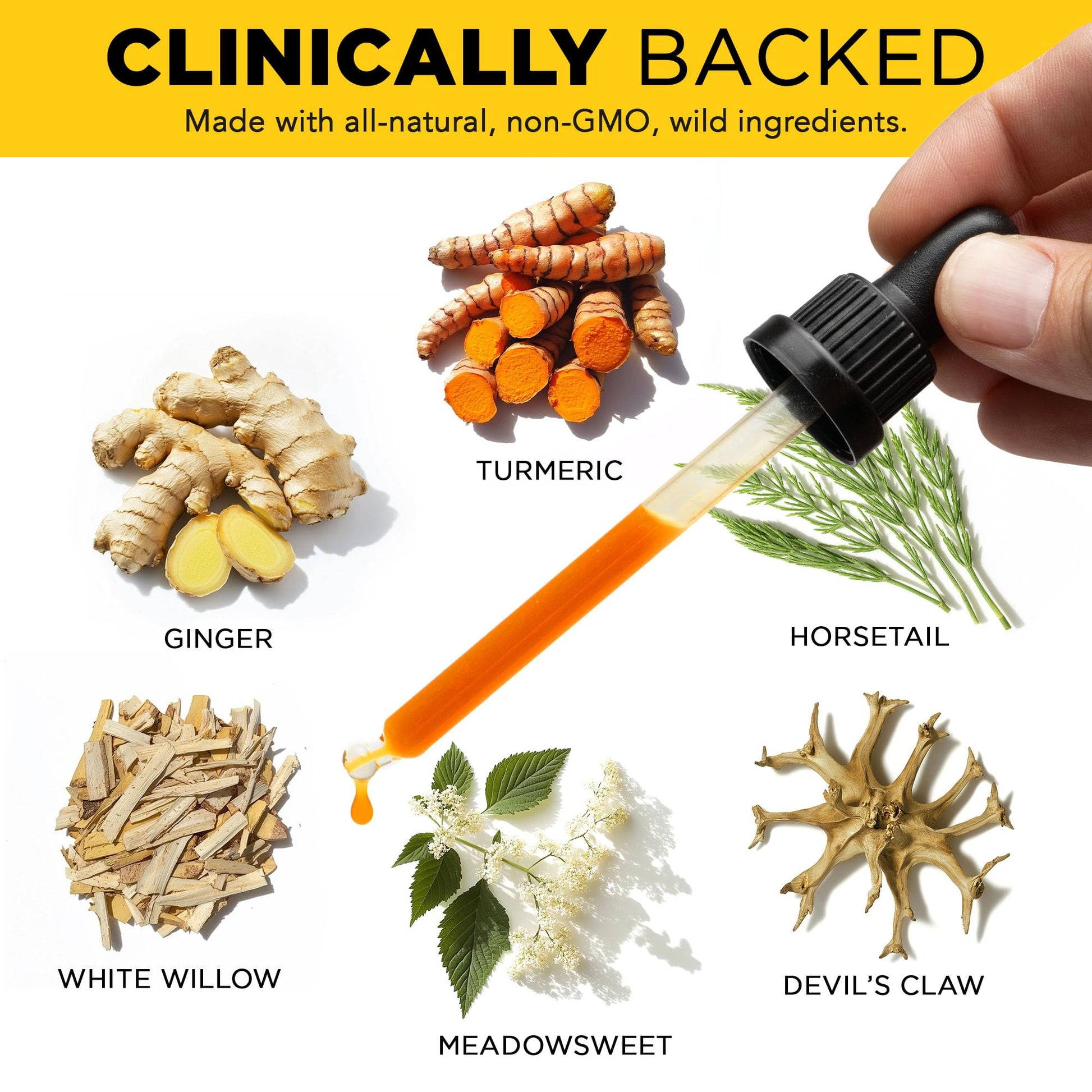 Juicy Joint by Plants Basically – Joint Support Supplement for Mobility, Relief & Recovery | - dailyvitalstore