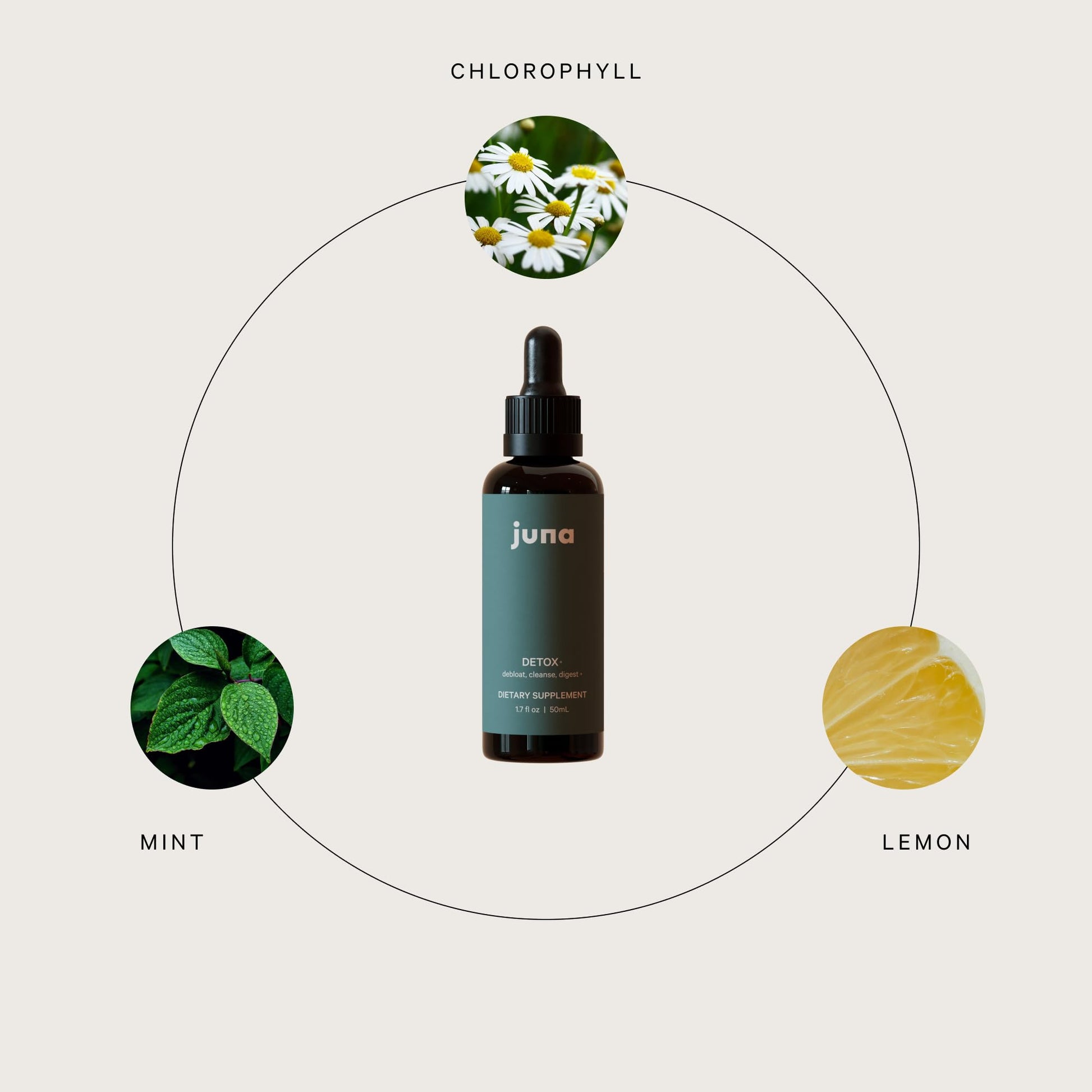 Juna Detox Chlorophyll Drops — Daily Wellness & Detox Support | Lemon Mint Spa Water Taste | Supports Cellular Health, Cleanse - dailyvitalstore