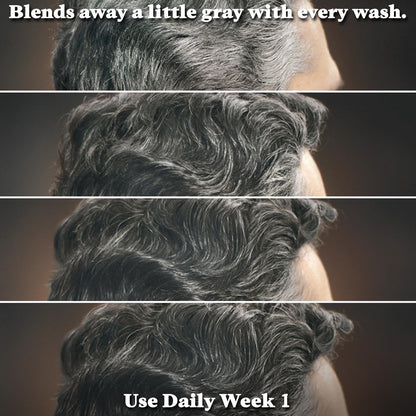 Just for Men Control GX Grey Reducing Shampoo, Gradual Hair Color with Keratin for Stronger Thicker and Healthier Looking Hair, 4 Fl Oz - Pack of 1 - dailyvitalstore