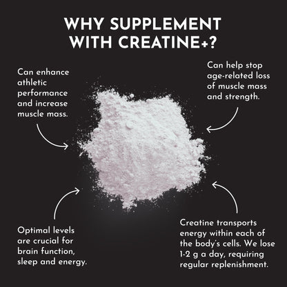 JUST INGREDIENTS Creatine Monohydrate Powder with Rejen Fulvic Mineral Complex - Supports Muscle Recovery, Energy, Strength, Cognitive Function - 30 Servings - dailyvitalstore