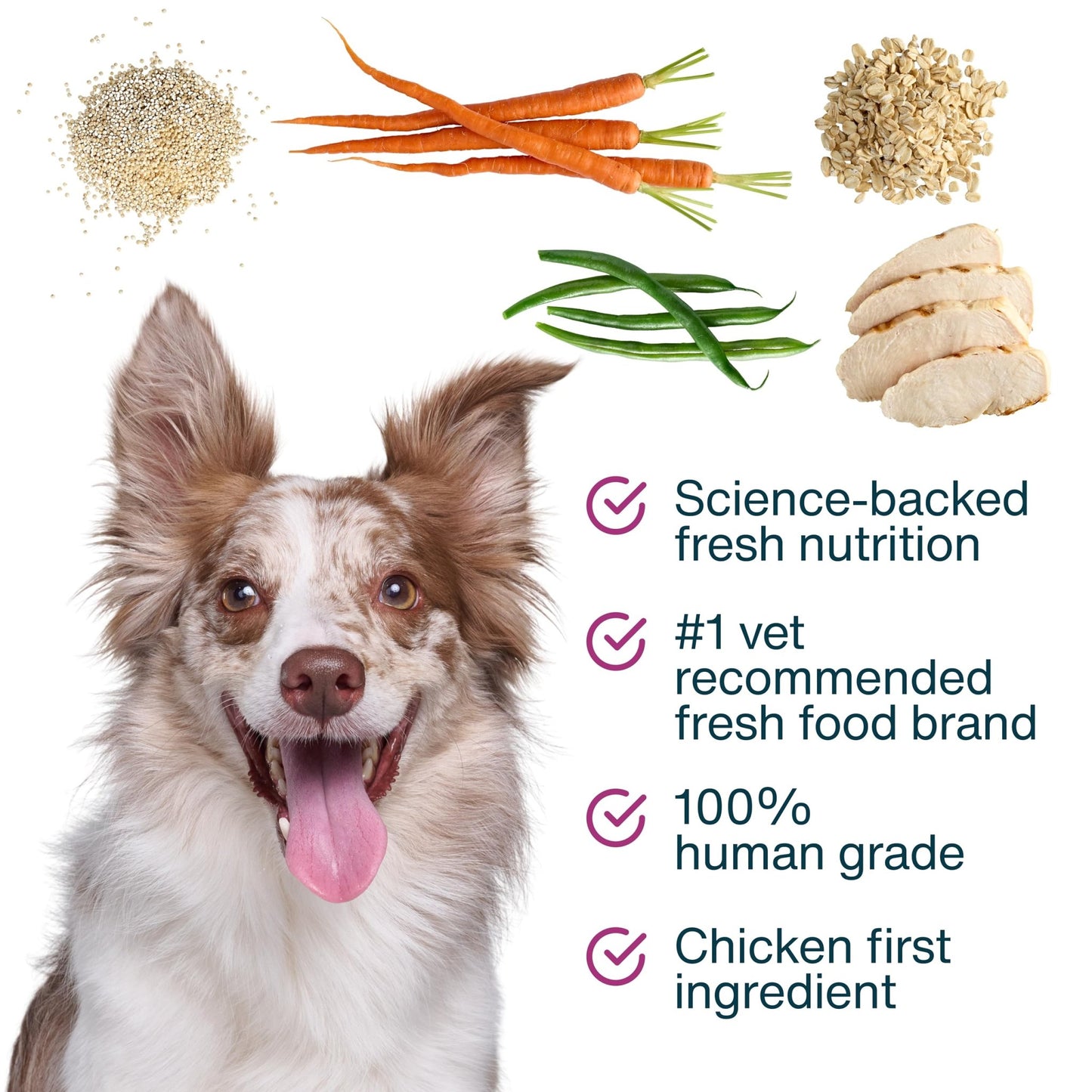 JustFoodForDogs JustFresh Boosts Hip & Joint Support Dog Food Toppers with Glucosamine to Support Hip Mobility & Joint Flexibility, Human-Grade Fresh Pet Meal Booster, 8 oz Pouches - 8 Pack - dailyvitalstore