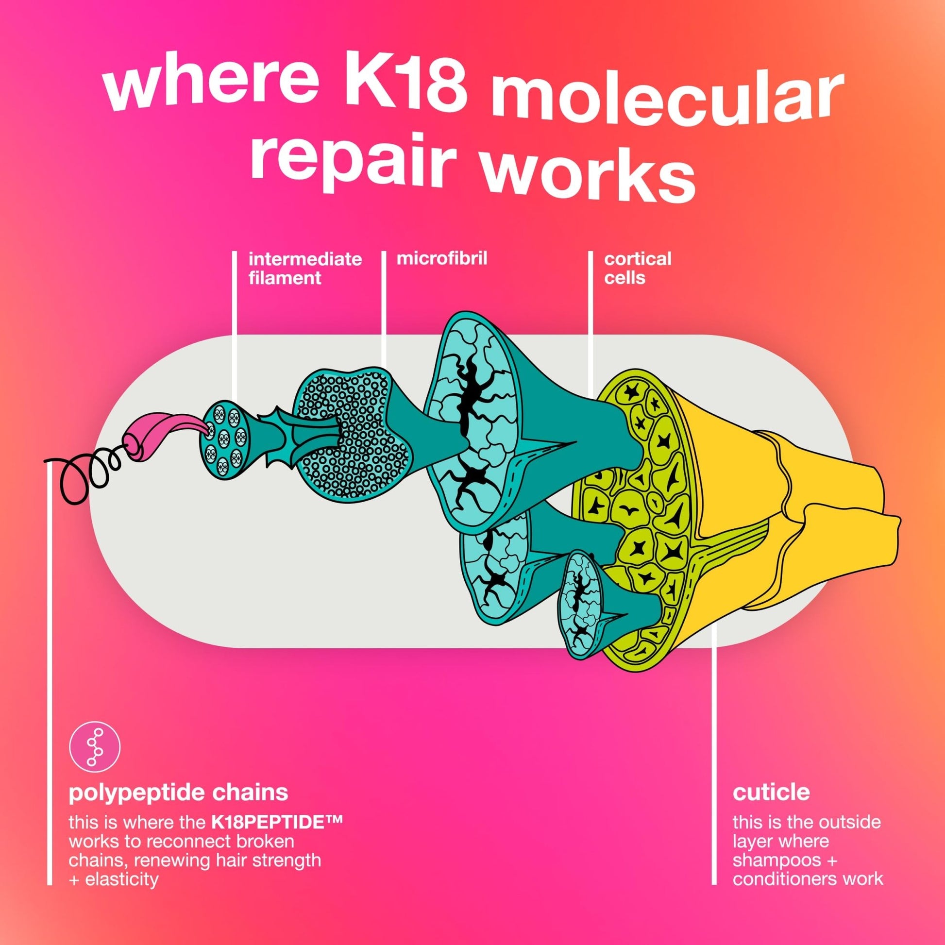 K18 Leave-In Molecular Repair Hair Mask - Peptide Hair Treatment Mask for Bleach, Color, Chemical + Heat Damaged Strands - Immediate - dailyvitalstore