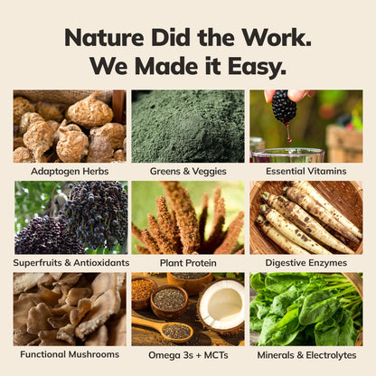 Ka’Chava All-In-One Nutrition Shake Blend, 5 Flavor Sample Pack, 5 Servings, 85+ Superfoods & Nutrients, Meal Replacement, Greens Plant-Based Superfood Powder Protein Drink, Digestive Enzymes & Probiotics, Vegan Dairy Gluten Free - dailyvitalstore
