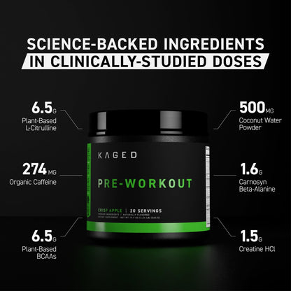 Kaged Stimulant Free Pre Workout Powder | Fruit Punch | Pre-Kaged | Formulated with Creatine, Beta Alanine | No Jitters | 20 Servings - dailyvitalstore