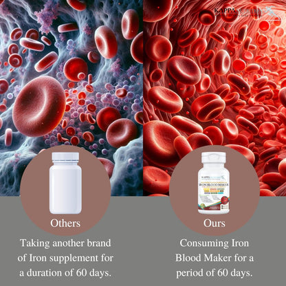 KAPPA NUTRITION Iron 26mg, Vitamin C & Orange 150mg, Folate 667mcg DFE, Vitamin B12, Beetroot, Brewers Yeast, Broccoli & MCT Oil 9 in 1 Advanced Complex (90 Capsules) - dailyvitalstore
