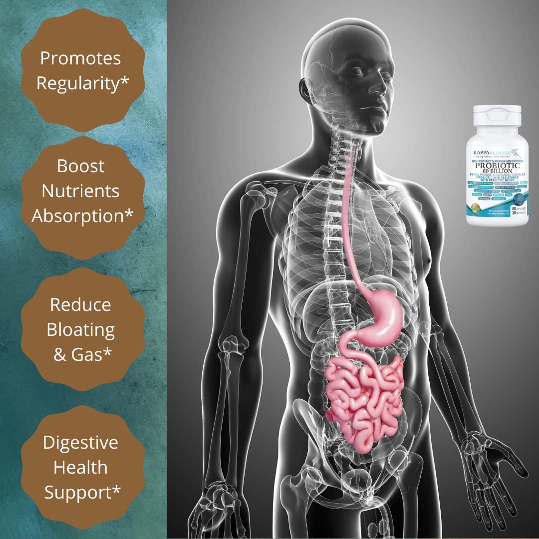 KAPPA NUTRITION Probiotic 60 Billion CFU 14 in 1 Formula with Prebiotics & Acidophilus for Women, Men & Adults, Shelf Stable, Acid Resistant, Natural Supplement 60 Capsules. - dailyvitalstore