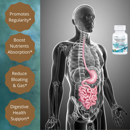 KAPPA NUTRITION Probiotic 60 Billion CFU 14 in 1 Formula with Prebiotics & Acidophilus for Women, Men & Adults, Shelf Stable, Acid Resistant, Natural Supplement 60 Capsules. - dailyvitalstore