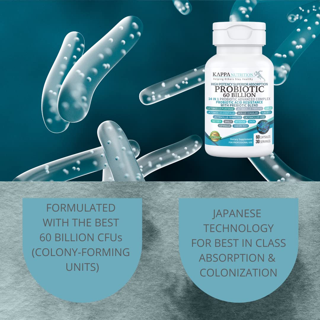 KAPPA NUTRITION Probiotic 60 Billion CFU 14 in 1 Formula with Prebiotics & Acidophilus for Women, Men & Adults, Shelf Stable, Acid Resistant, Natural Supplement 60 Capsules. - dailyvitalstore