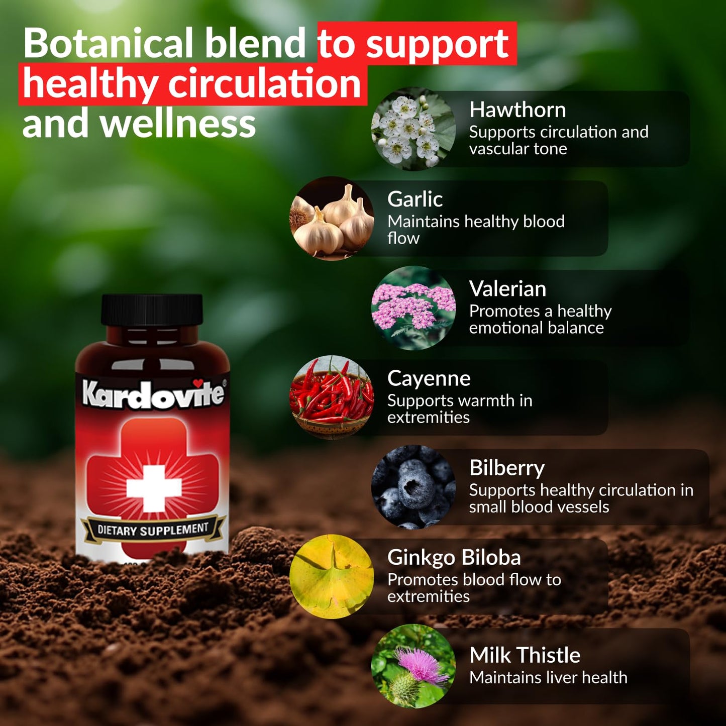 Kardovite Herbal Circulation Support Capsules 180s | Supports Circulatory Wellness with Hawthorn, Garlic, Ginkgo, Cayenne, Milk Thistle, Bilberry & Valerian | Supports Vitality & Daily Wellness - dailyvitalstore
